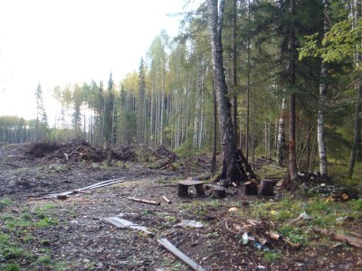 нурмозеро 2011 (5).JPG