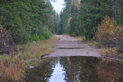 DSC_7920_1.jpg