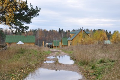 DSC_7895_1.jpg