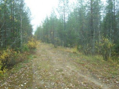 дорога.JPG