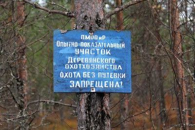 IMG_8865.jpg