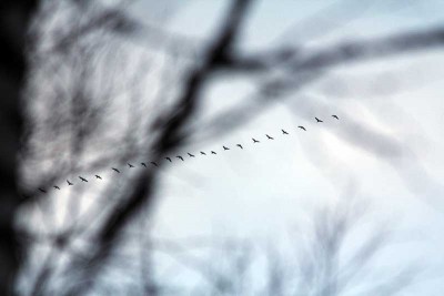 IMG_8876.jpg