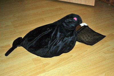 DSC_2907.jpg