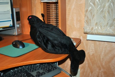 DSC_2903.jpg