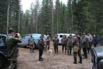 гончие СЗФО-065.jpg