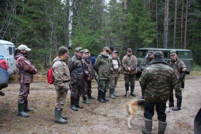 гончие СЗФО-071.jpg