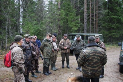 гончие СЗФО-068.jpg