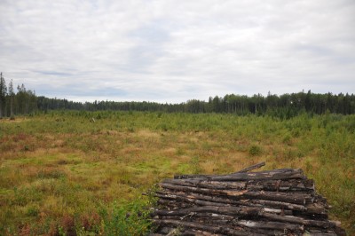 DSC_7045_1.jpg