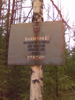 МОБИЛА 052.jpg