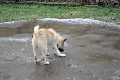 DSC_4308.jpg