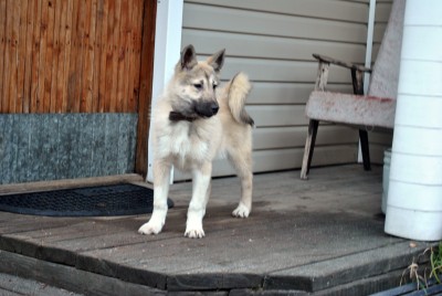 DSC_4441.jpg