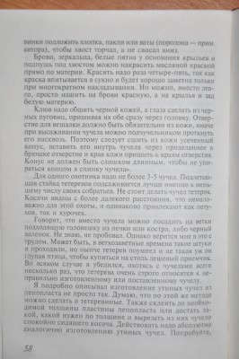 DSC_8379_1.jpg