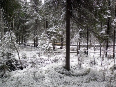 winterriver.jpg