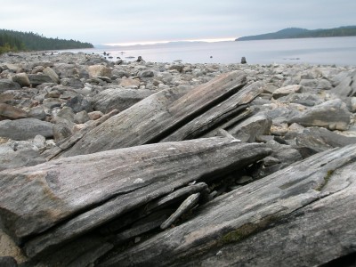 P1010020.JPG