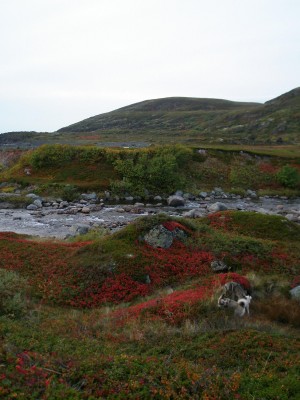 P1010134.JPG