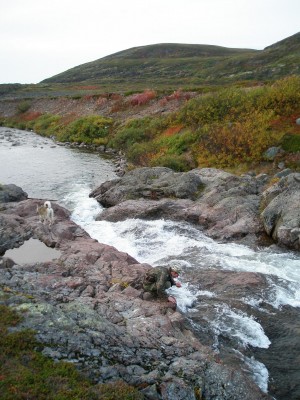 P1010139.JPG