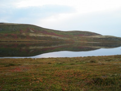 P1010159.JPG