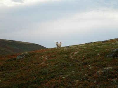 P1010163.JPG