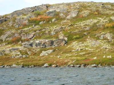 P1010173.JPG