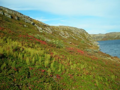 P1010177.JPG