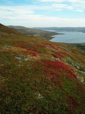 P1010218.JPG