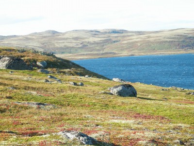 P1010230.JPG