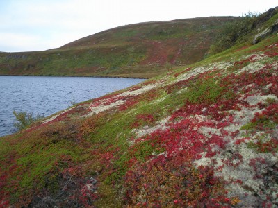 P1010268.JPG