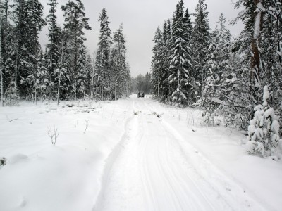 SAM_0106.jpg