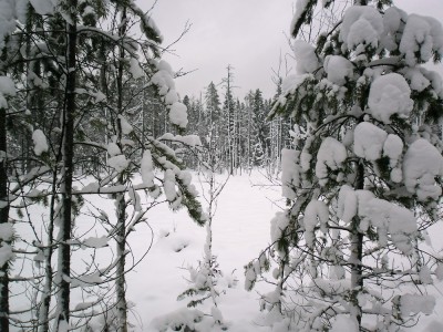 SAM_0108.jpg
