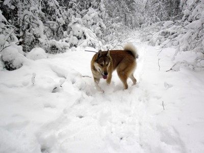 SAM_0112.jpg