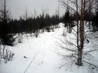 P1210035.JPG