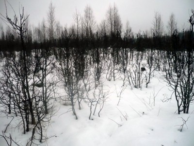 P1210043.JPG