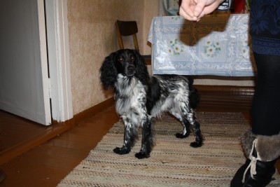 IMG_3892.JPG