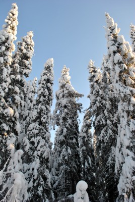 Изображение 1045.jpg (2 МБ) 2530 просмотров Изображение 1045.jpg