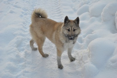 Изображение 1046.jpg (1.11 МБ) 2721 просмотр Изображение 1046.jpg