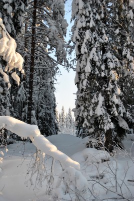 Изображение 1047.jpg (1.96 МБ) 2536 просмотров Изображение 1047.jpg