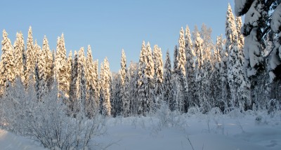 Изображение 1048.jpg (1.76 МБ) 2532 просмотра Изображение 1048.jpg