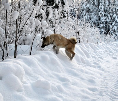 Изображение 1050.jpg (2.44 МБ) 2523 просмотра Изображение 1050.jpg