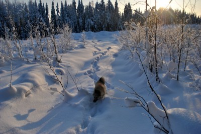 Изображение 1085.jpg (1.97 МБ) 2505 просмотров Изображение 1085.jpg