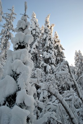 Изображение 1083.jpg (1.66 МБ) 2498 просмотров Изображение 1083.jpg