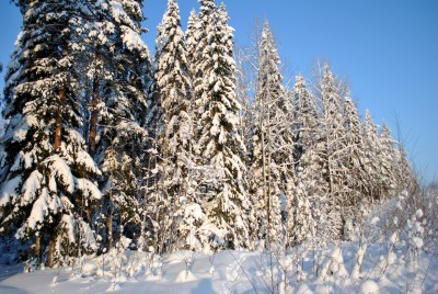 Изображение 1086.jpg (2.59 МБ) 2501 просмотр Изображение 1086.jpg