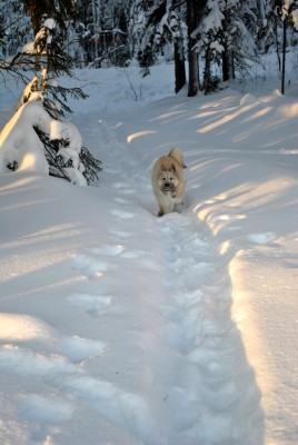 Изображение 1087.jpg (1.42 МБ) 2686 просмотров Изображение 1087.jpg