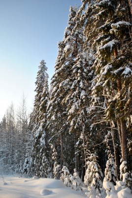 Изображение 1091.jpg (2.25 МБ) 2499 просмотров Изображение 1091.jpg