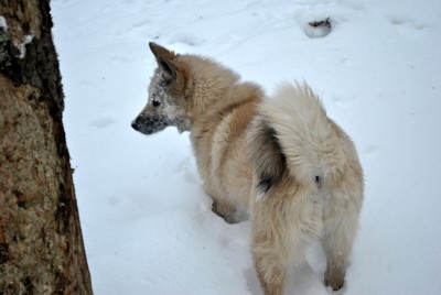 Изображение 1107.jpg (1.29 МБ) 2683 просмотра Изображение 1107.jpg