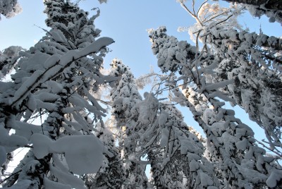 Изображение 1108.jpg (1.95 МБ) 2491 просмотр Изображение 1108.jpg