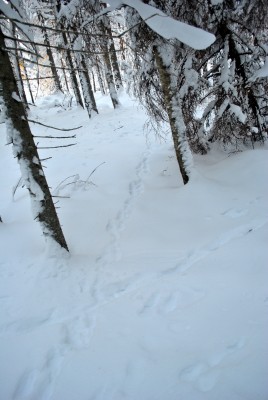 Изображение 1109.jpg (1.59 МБ) 2497 просмотров Изображение 1109.jpg