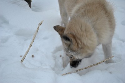 Изображение 1111.jpg (1.07 МБ) 2682 просмотра Изображение 1111.jpg