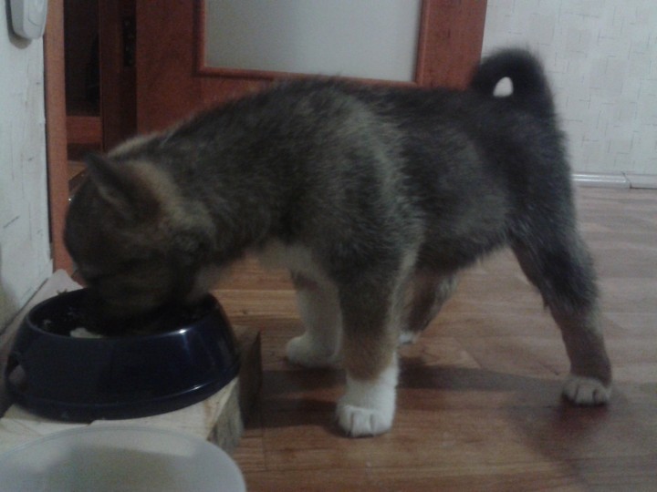 2012-03-05 07.30.48.jpg