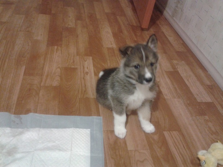 2012-03-05 07.30.14.jpg