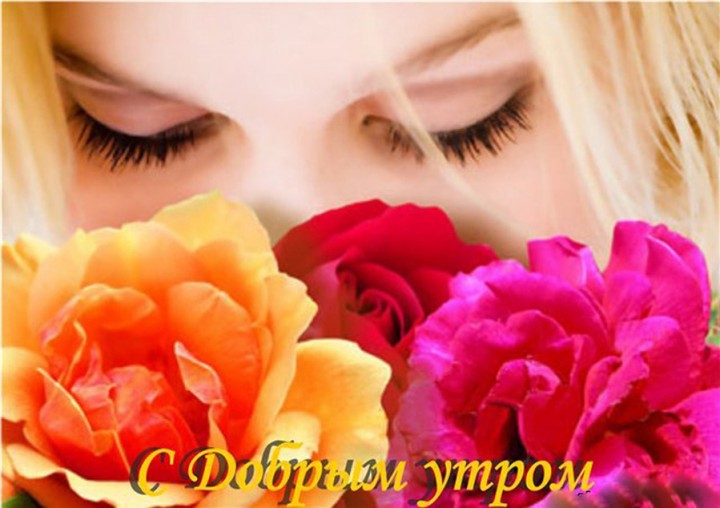 84181337_large_1081336.jpg